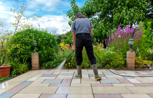 Best Spring Cleaning  in Seeley, CA